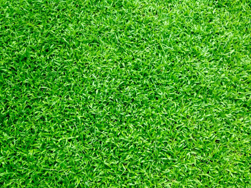 Tips for Installing Putting Greens in Your Yard